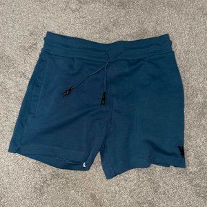YOUNG LA BODYBUILDING SHORTS (GREEN)